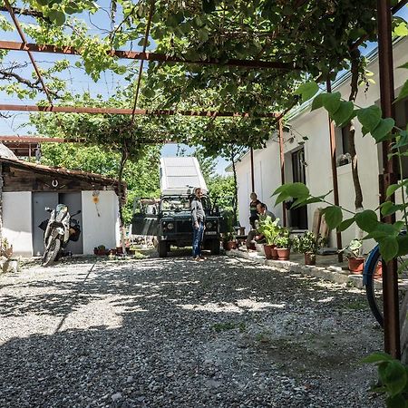 Eco Garten Guest House Szkodra Zewnętrze zdjęcie