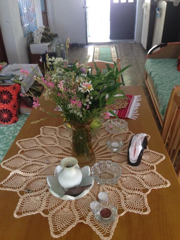 Eco Garten Guest House Szkodra Zewnętrze zdjęcie