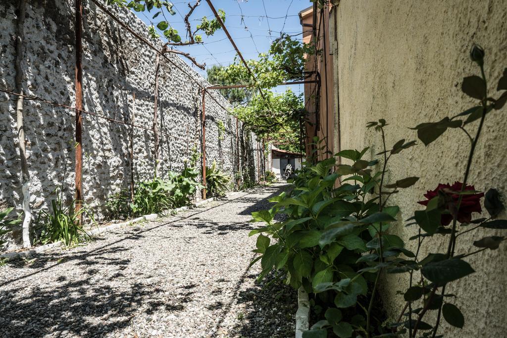 Eco Garten Guest House Szkodra Zewnętrze zdjęcie