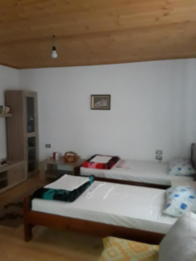 Eco Garten Guest House Szkodra Zewnętrze zdjęcie