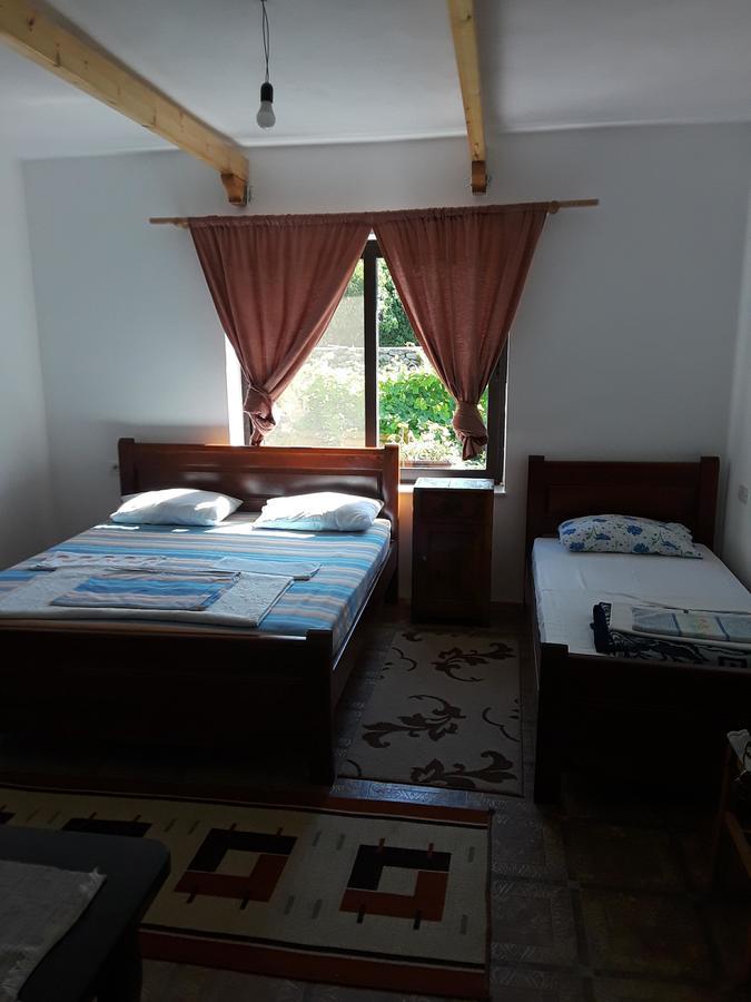 Eco Garten Guest House Szkodra Zewnętrze zdjęcie
